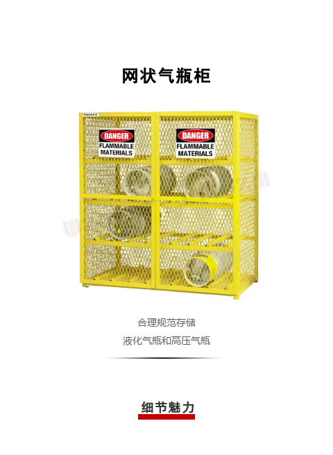 【產品直擊】網狀氣瓶柜(圖1)